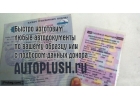 Любые документы под авто на оригинальных бланках - ПТС, СТС, ПСМ, ГРЗ, ОСАГО