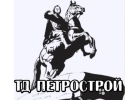 Территориальный менеджер по продажам