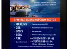 ECDIS CES6.0.4 Помощь морякам сдать тест