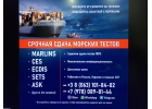 Marlins CES6.0.4 Поможем морякам сдать тесты
