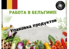 Разнорабочий. Работа вахтой в Бельгии. Упаковка продуктов.