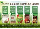 ЗДОРОВЕДА - линейка готовых блюд