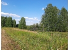 Плодородная земля